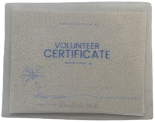 Scale model beach clean-up certificate